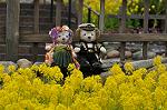 Dcim10911/DSC_2272