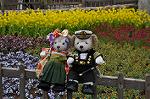 Dcim10911/DSC_2278