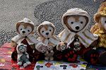 Dcim10913/DSC_2525
