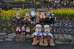 Dcim10914/DSC_2598