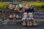 Dcim10914/DSC_2599