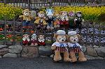 Dcim10914/DSC_2600