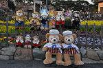Dcim10914/DSC_2613