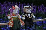 Dcim10914/DSC_2675