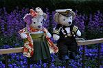 Dcim10914/DSC_2677