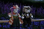 Dcim10914/DSC_2678