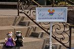 Dcim10915/DSC_2724
