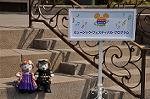 Dcim10915/DSC_2725