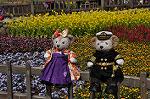 Dcim10921/DSC_3692