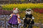 Dcim10921/DSC_3693