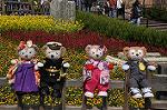 Dcim10921/DSC_3696
