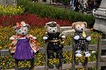 Dcim10921/DSC_3707