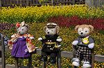 Dcim10921/DSC_3708
