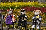 Dcim10921/DSC_3709