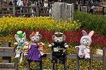 Dcim10921/DSC_3715
