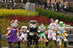 Dcim10921/DSC_3717