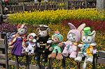 Dcim10921/DSC_3718