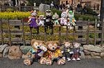 Dcim10921/DSC_3728