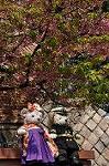 Dcim10921/DSC_3747