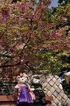 Dcim10921/DSC_3748