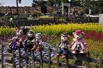 Dcim10923/DSC_3919