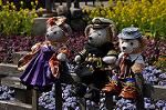 Dcim10923/DSC_3921