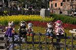 Dcim10923/DSC_3925