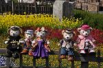 Dcim10923/DSC_3932