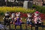 Dcim10923/DSC_3933