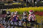 Dcim10923/DSC_3941
