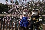 Dcim10925/DSC_4258