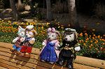 Dcim10925/DSC_4299