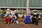 Dcim10926/DSC_4399