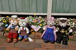 Dcim10926/DSC_4400