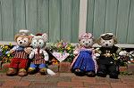 Dcim10926/DSC_4403