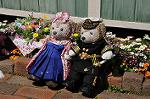 Dcim10926/DSC_4407
