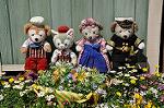 Dcim10926/DSC_4408
