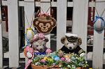 Dcim10926/DSC_4459