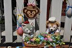 Dcim10926/DSC_4463