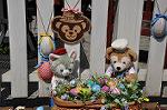 Dcim10926/DSC_4464