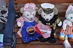 Dcim10927/DSC_4532