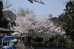 Dcim10929/DSC_4815