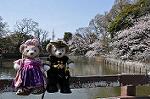 Dcim10929/DSC_4871