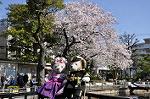 Dcim10929/DSC_4907