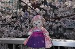 Dcim10931/DSC_5117