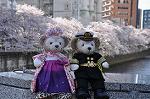 Dcim10931/DSC_5121