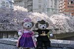 Dcim10931/DSC_5125