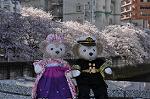 Dcim10931/DSC_5127