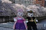 Dcim10931/DSC_5132