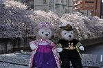 Dcim10931/DSC_5133